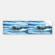 Seeotter Autosticker