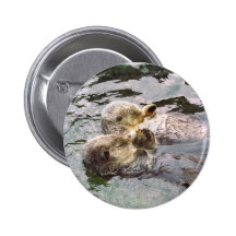 Seeotter, die Hände halten Anstecknadelbuttons