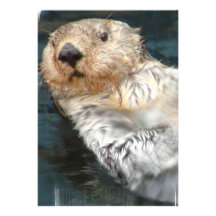 Seeotter-Einladung