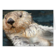 Seeotter-Gruß-Karte