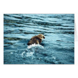 Seeotter Karte