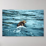 Seeotter Plakate