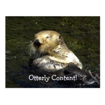 Seeotter-Postkarte
