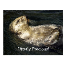 Seeotter-Postkarte