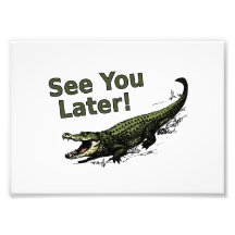 Sehen Sie Sie neuerer Alligator Photos