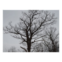 Sehnen Fotografischer Druck