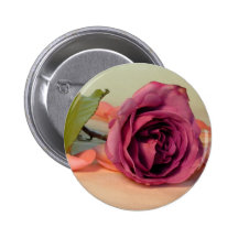 Sehnen Sie sich die Rose Anstecknadelbutton