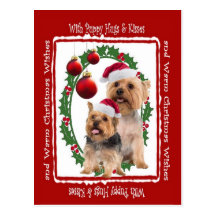 Seidiges Terrier-Weihnachten umarmt und küsst Post