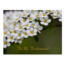 Seien Sie mein Brautjungfern-PostkarteSpiraea