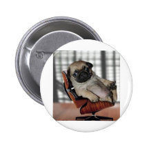 Seien Sie nicht streitsüchtig! Anstecknadelbuttons