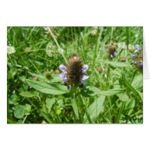 selfheal karten