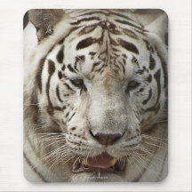 Seltene weiße Tiger-wildes Tier-große Katze Mousepad