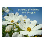 SENDEN des SONNENSCHEINS u. des Lächelns! Postkart