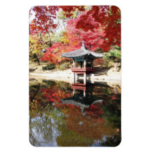 Seoul-Herbst-Japaner-Garten Vinyl Magnete