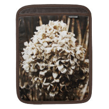 Sepia getrockneter Hydrangea iPad Sleeve