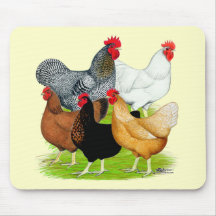 Sex-verbundenes Huhn-Quintett Mauspads