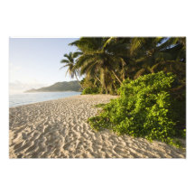 Seychellen, Mahe Insel, Anse Marie-Louise Fotografischer Druck