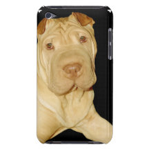 Shar Pei HundiTouch Fall iPod Touch Case