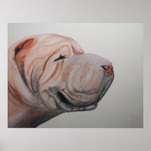 Shar Pei Plakat