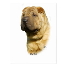 Shar Pei Postkarte