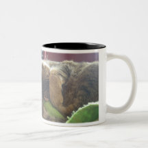 Sharky mit der Tatze, die Eyesedit, KANN NICHT EIN Kaffee Haferl