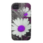 Shasta Gänseblümchen (w/Purple) iPhone 4 Fall iPhone 4/4S Hülle