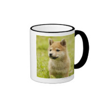 Shiba-Ken Welpe Teetassen