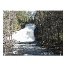 Shin-Bach-FällePhotoprint