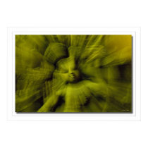 Shivas Mudra poster