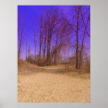 Shyfree Himmel Plakatdrucke