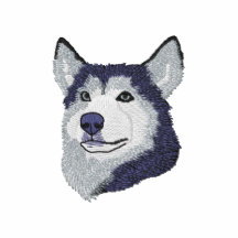 Sibirischer Husky