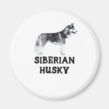 Sibirischer Husky Kühlschrankmagnete