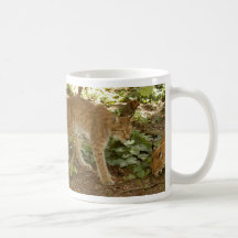 Sibirischer Luchs-Becher Kaffee Tasse