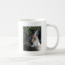Sibirischer Luchs Kaffeetasse