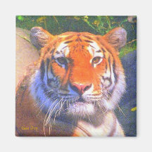 Sibirischer Tiger-Magnet