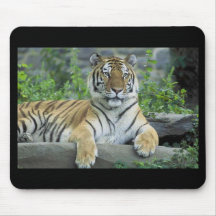 Sibirischer Tiger Mousepad