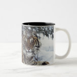 Sibirischer Tiger (Panthera der Tigris Altaica) Kaffee Tasse
