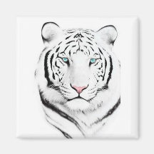 Sibirischer weißer Tiger Magnete