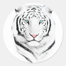 Sibirischer weißer Tiger Runde Aufkleber