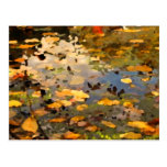 Sich hin- und herbewegender Herbst verlässt abstra Postkarten