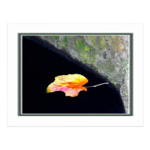 Sich hin- und herbewegendes Blatt Postkarte