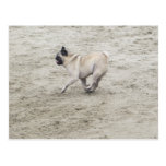 SID-Lieben der Strand Postkarte