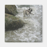 SID reichlich am Strand Kühlschrankmagnet