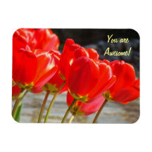 Sie sind fantastisch! Magnet rote Tulpe-Blumen