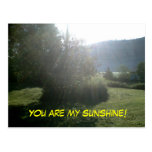 SIE SIND MEINE SONNENSCHEIN-Postkarte