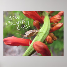 Sie stinken Wanze! Gruß Poster