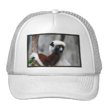 Sifaka Lemur-Baseball-Mütze