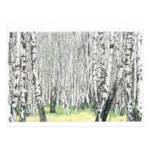 Silberne Birken-Holz - Postkarte