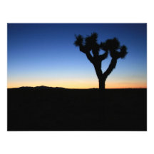 Silhouettierter Joshua-Baum Individuelle Einladung