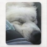 Sind wir dort schon mousepads